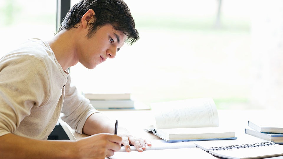 Der visuelle Lerntyp Schüler lernt durch lesen