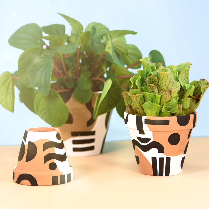 DIY: Trendige Blumentöpfe mit abstrakten Motiven